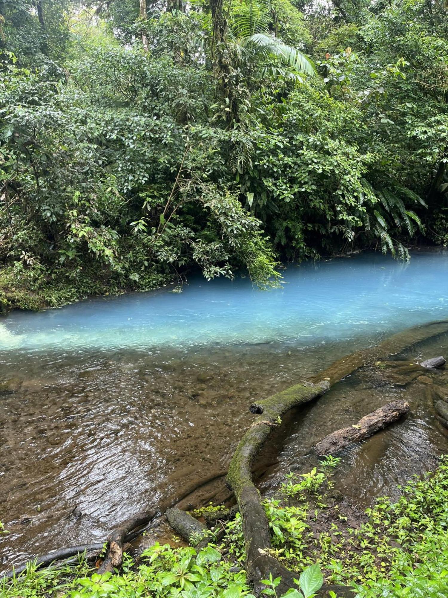 Kakao Lodge & Garden Rio Celeste بيجاغوا المظهر الخارجي الصورة