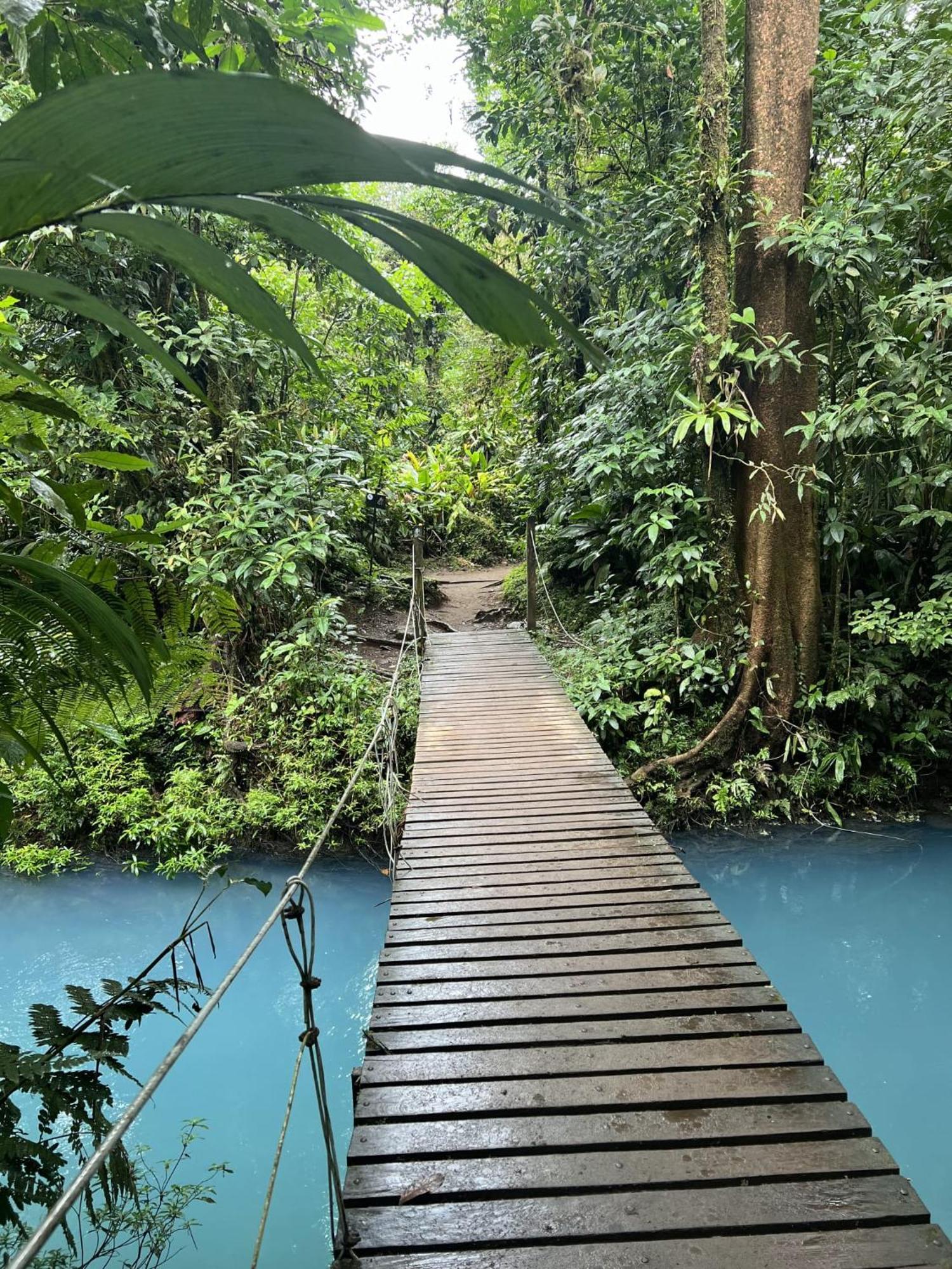 Kakao Lodge & Garden Rio Celeste بيجاغوا المظهر الخارجي الصورة